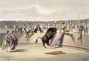 Il toro che salta le barriere, 1865
