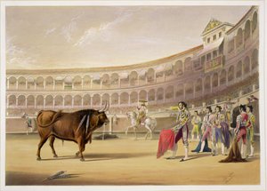 Il matador, 1865