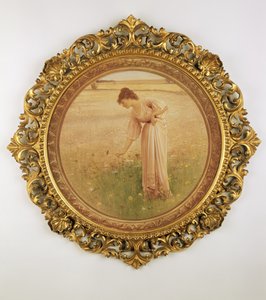 Fiori del campo