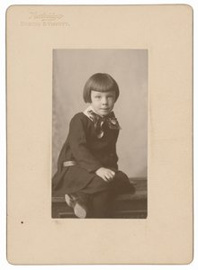 Natt Noyes Dodge, 1904 circa (foto) da William Henry Partridge