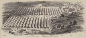Le Mostre di Attrezzi e Bestiame della Società Agricola Reale d