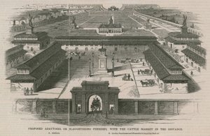 Macelli proposti, o, locali per la macellazione, con il mercato del bestiame in lontananza da William Henry Prior