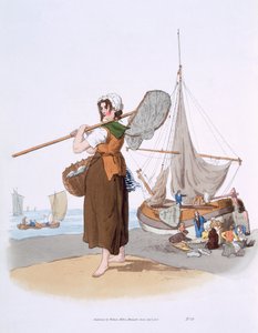 Pescatrice di gamberetti, da 