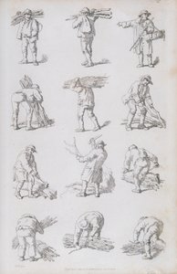 Illustrazione da 