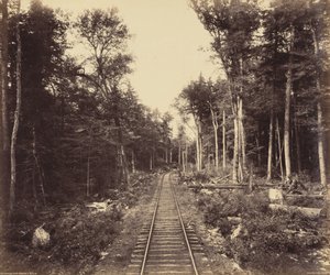 Ramo del lago Ganoga, 1895 circa (foto) da William Herman Rau