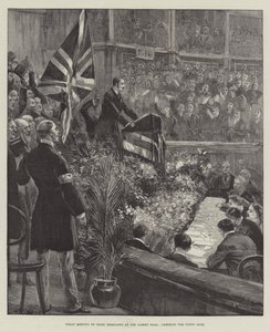 Grande incontro dei delegati irlandesi alla Albert Hall, acclamando la Union Jack