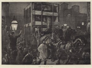 Il viaggio di Jumbo ai moli