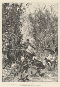 La spedizione di soccorso di Emin Pasha di Mr H M Stanley, alla ricerca di rifornimenti per il campo di Yambuya da William Heysham Overend
