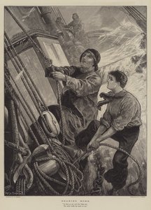 Verso casa