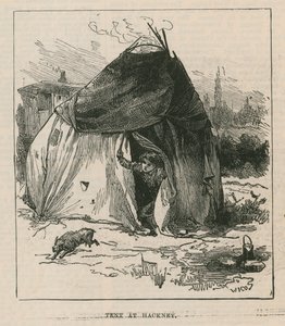 Schizzi di vita zingara; tenda a Hackney