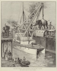 La spedizione Looshai, imbarco degli elefanti a bordo del Simla a Calcutta