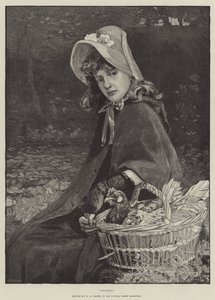 Polli da William Hippon Gadsby