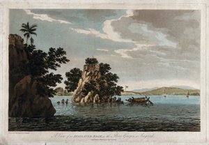 Vista di una roccia isolata, nel fiume Gange a Jangerah da William Hodges