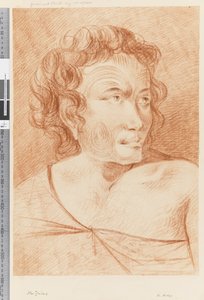 Pagina 32b Nuova Zelanda Ritratto di un Maori, 1768-75 da William Hodges