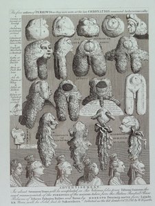 Pubblicità per parrucche da William Hogarth