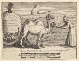 Due dromedari dai viaggi di Aubry de La Mottraye in Europa, Asia e in parte, 1723-24 da William Hogarth