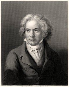 Beethoven, XIX secolo