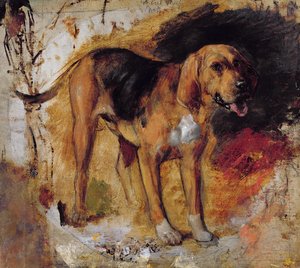 Studio di un Bloodhound da William Holman Hunt