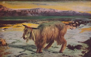 Il capro espiatorio da William Holman Hunt