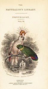 Frontespizio con vignetta del cacatua di Major Mitchell e del pappagallo dal collare nero da William Home Lizars