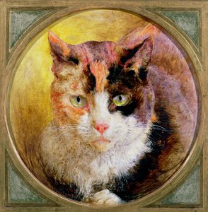 Studio della testa di un gatto tartarugato da William Huggins