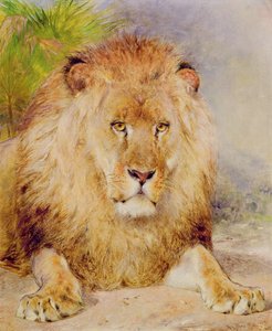 Leone