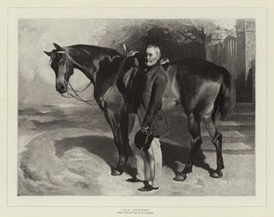 Vecchi amici