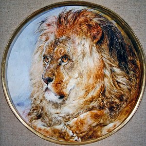 Ritratto di un leone da William Huggins
