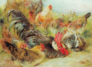 Pollame da William Huggins