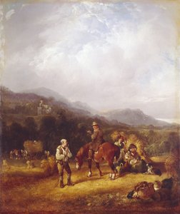 Il raccolto del grano