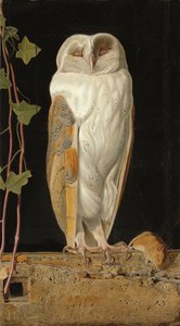 Il gufo bianco: "Solo e riscaldando i suoi cinque sensi, il gufo bianco nella campana siede", 1856