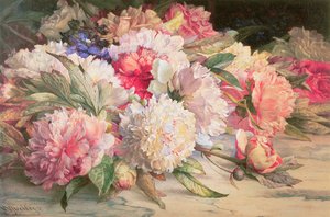 Peonie