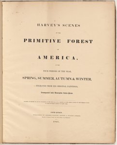 Scene della foresta primitiva di Harvey da William James Bennett, after George Harvey