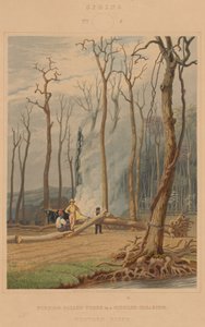 Primavera--Bruciando Alberi Caduti in una Radura Cintata. Scena Occidentale da William James Bennett after George Harvey