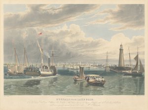Bufalo, dal Lago Erie da William James Bennett after John William Hill