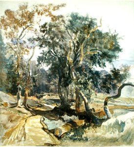 Un sentiero nel bosco da William James Muller