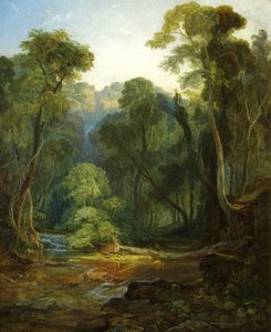 Coombe Glen, vicino a Bristol da William James Muller