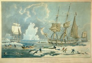 Pesca della balena del nord, incisione di E. Duncan da William John (after) Huggins