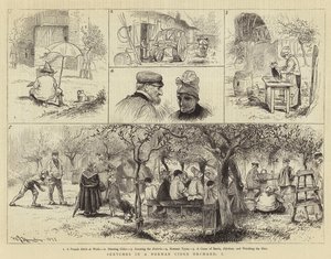 Schizzi in un frutteto di mele normanno, I
