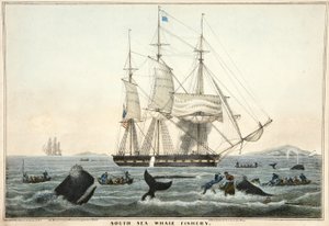 Pesca della balena nel Mare del Sud, pub. 1825