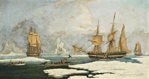 La pesca alla balena del nord: La nave Harmony di Hull e altri balenieri bloccati dal ghiaccio, caccia di foche, narvali e balene nel campo di pesca delle balene dello Stretto di Davis al largo della Groenlandia