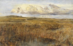 Rhoscolyn, Anglesey da William Joseph J.C. Bond