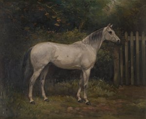 Pickles: un pony Basuto da William Josiah Redworth