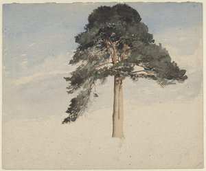 Pino scozzese da William Leighton Leitch