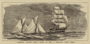 Barche dei sarti di Falmouth in gara per incontrare una nave di ritorno a casa da William Lionel Wyllie