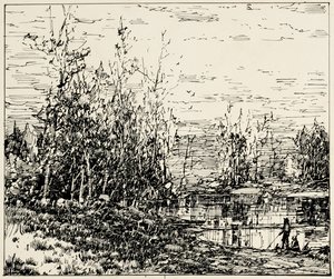 Bordo di uno stagno, Maine da William Louis Jnr. Sonntag