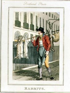 Conigli, Portland Place, da 