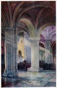 La cattedrale, Christ Church da William Matthison