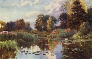 Il lago nei giardini botanici