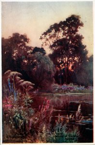 Giardino del Worcester College da William Matthison